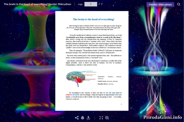 The brain is the head of everything!
