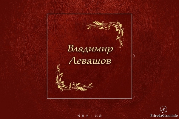 Альбом "Владимир Левашов"