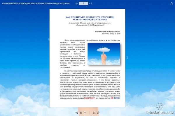 КАК ПРАВИЛЬНО ПОДВОДИТЬ ИТОГИ ИЛИ  ЕСТЬ ЛИ ОЧЕРЕДЬ ЗА ЦЕЛЬЮ?