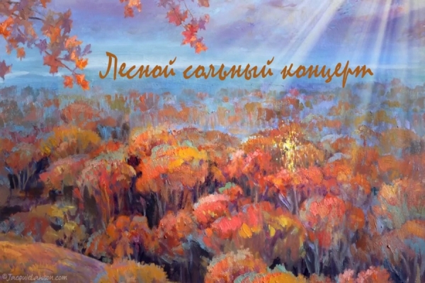 Лесной сольный концерт