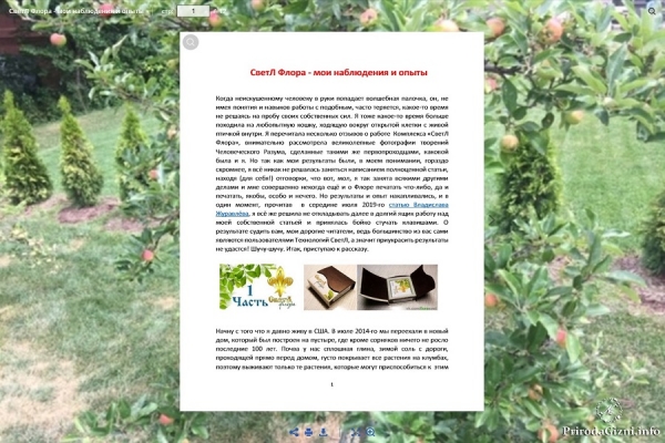 СветЛ Флора - мои наблюдения и опыты