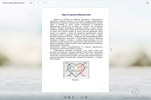 Круги кровообращения