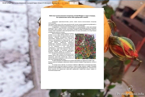 Мой опыт использования генератора &laquo;СветЛ-Флора&raquo; в саду и огороде, без применения каких-либо удобрений и химии