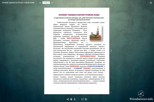ПОЧЕМУ УДОБНО В ПРОКУСТОВОМ ЛОЖЕ